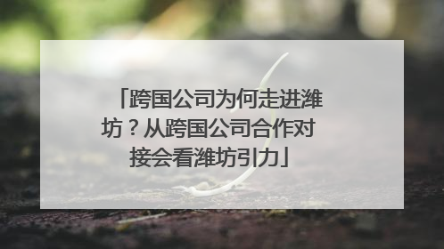 跨国公司为何走进潍坊？从跨国公司合作对接会看潍坊引力