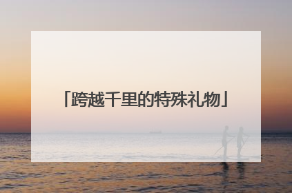 跨越千里的特殊礼物