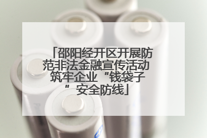 邵阳经开区开展防范非法金融宣传活动 筑牢企业“钱袋子”安全防线