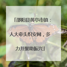 邵阳县黄亭市镇：人大牵头织安网，多力并聚助振兴