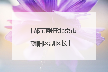 郝宝刚任北京市朝阳区副区长