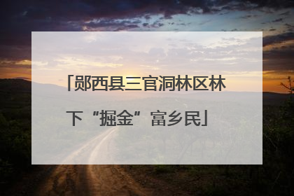 郧西县三官洞林区林下“掘金”富乡民