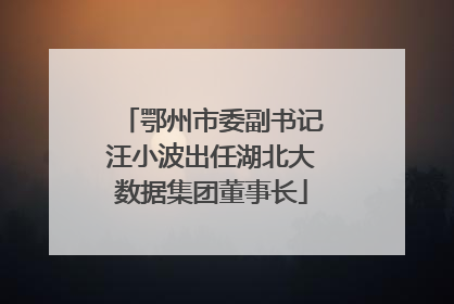 鄂州市委副书记汪小波出任湖北大数据集团董事长