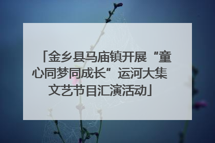 金乡县马庙镇开展“童心同梦同成长”运河大集文艺节目汇演活动