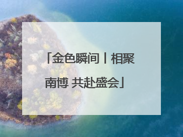 金色瞬间丨相聚南博 共赴盛会