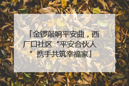 金锣敲响平安曲，西厂口社区“平安合伙人”携手共筑幸福家