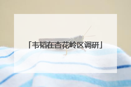 韦韬在杏花岭区调研