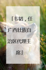 韦韬，任广西壮族自治区代理主席