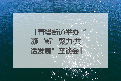 青塔街道举办“凝‘新’聚力·共话发展”座谈会
