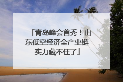 青岛峰会首秀！山东低空经济全产业链实力藏不住了