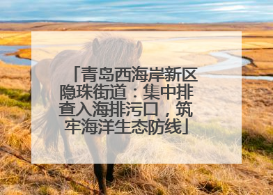 青岛西海岸新区隐珠街道：集中排查入海排污口，筑牢海洋生态防线