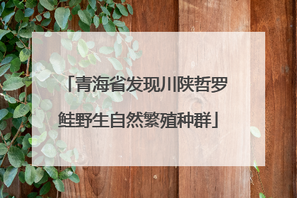 青海省发现川陕哲罗鲑野生自然繁殖种群