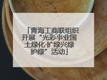 青海工商联组织开展“光彩事业国土绿化·扩绿兴绿护绿”活动