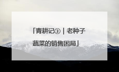 青耕记③｜老种子蔬菜的销售困局