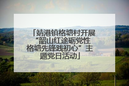 靖港镇格塘村开展“韶山红途砺党性 格塘先锋践初心”主题党日活动