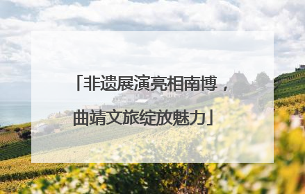非遗展演亮相南博，曲靖文旅绽放魅力