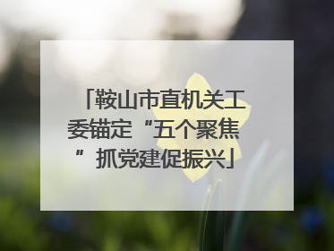 鞍山市直机关工委锚定“五个聚焦”抓党建促振兴