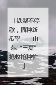 铁犁不停歇，播种新希望——山东“三夏”抢收抢种忙