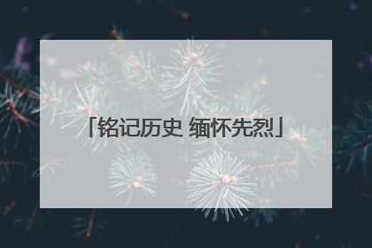 铭记历史 缅怀先烈