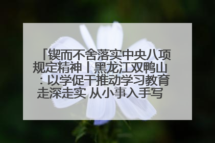 锲而不舍落实中央八项规定精神丨黑龙江双鸭山：以学促干推动学习教育走深走实 从小事入手写好“民生答卷”