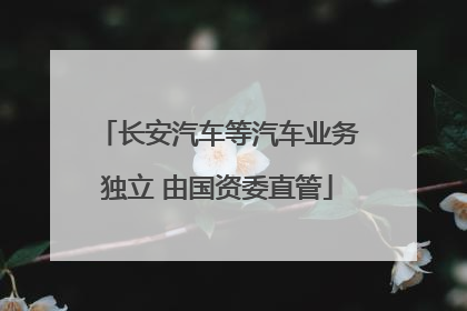 长安汽车等汽车业务独立 由国资委直管