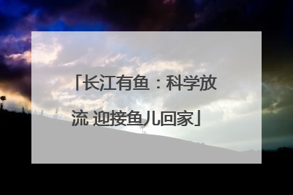长江有鱼：科学放流 迎接鱼儿回家
