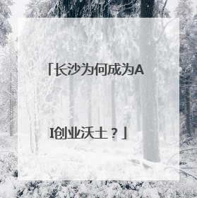 长沙为何成为AI创业沃土？