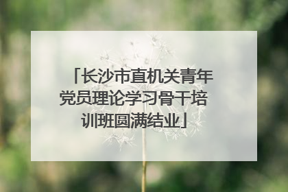 长沙市直机关青年党员理论学习骨干培训班圆满结业