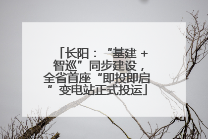 长阳：“基建 + 智巡”同步建设，全省首座“即投即启”变电站正式投运