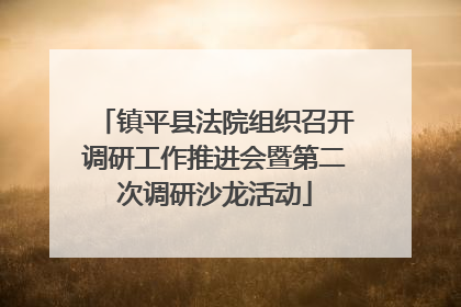 镇平县法院组织召开调研工作推进会暨第二次调研沙龙活动
