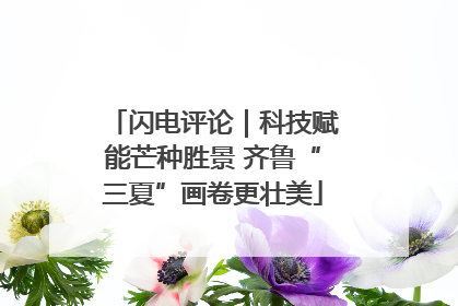 闪电评论｜科技赋能芒种胜景 齐鲁“三夏”画卷更壮美