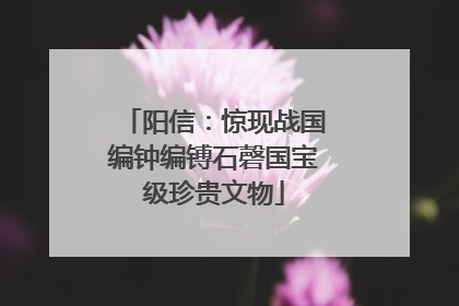 阳信：惊现战国编钟编镈石磬国宝级珍贵文物