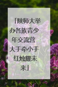 陕师大举办各族青少年交流营 大手牵小手 红烛耀未来