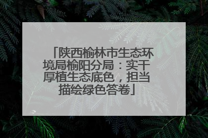 陕西榆林市生态环境局榆阳分局：实干厚植生态底色，担当描绘绿色答卷