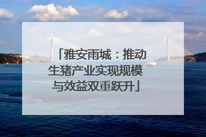 雅安雨城：推动生猪产业实现规模与效益双重跃升
