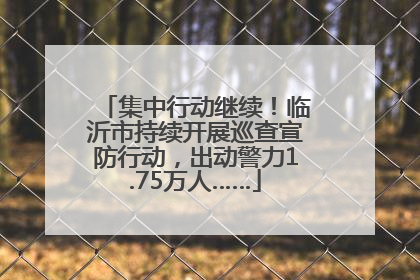 集中行动继续！临沂市持续开展巡查宣防行动，出动警力1.75万人……