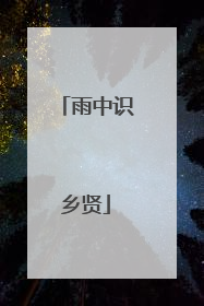 雨中识乡贤