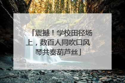 震撼！学校田径场上，数百人同吹口风琴共奏葫芦丝