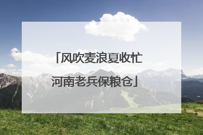 风吹麦浪夏收忙 河南老兵保粮仓