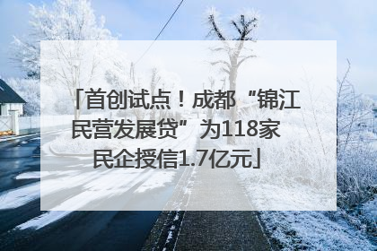 首创试点！成都“锦江民营发展贷”为118家民企授信1.7亿元