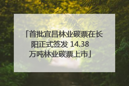 首批宜昌林业碳票在长阳正式签发 14.38万吨林业碳票上市