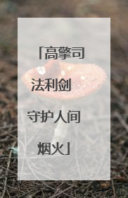 高擎司法利剑 守护人间烟火
