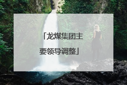 龙煤集团主要领导调整