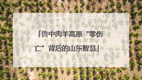 鲁中肉羊高原“零伤亡”背后的山东智慧