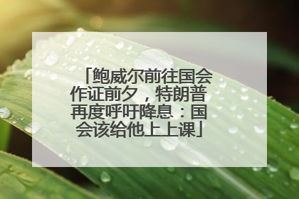 鲍威尔前往国会作证前夕，特朗普再度呼吁降息：国会该给他上上课