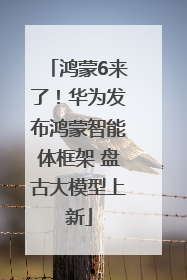 鸿蒙6来了！华为发布鸿蒙智能体框架 盘古大模型上新