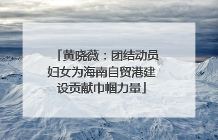 黄晓薇：团结动员妇女为海南自贸港建设贡献巾帼力量