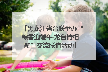 黑龙江省台联举办“粽香迎端午·龙台情相融”交流联谊活动