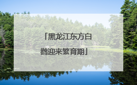 黑龙江东方白鹳迎来繁育期