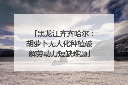 黑龙江齐齐哈尔：胡萝卜无人化种植破解劳动力短缺难题